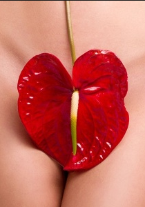 Screen Shot 2014-08-08 at 13.52.02